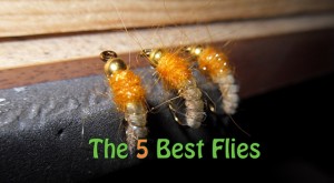The 5 Best Flies To Use