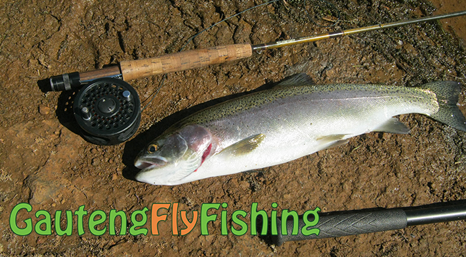 Gauteng Fly Fishing