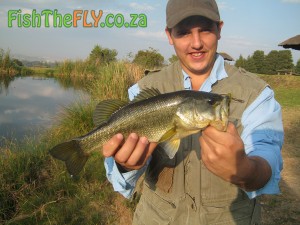 Largemouth Bass On Fly
