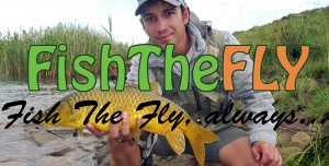 Best Yellowfish Flies For Fishing