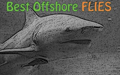 Best Offshore Flies