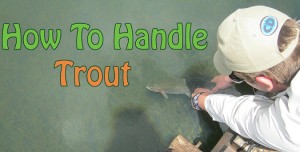 How To Handle Trout