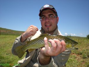 Brown Trout caught at Millstream