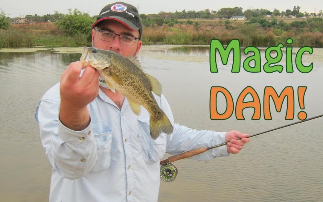 Magic Dam Bass Fly Fishing