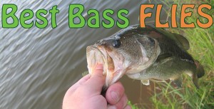 Best SA Bass Flies