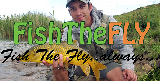 Top 10 Yellowfish Flies