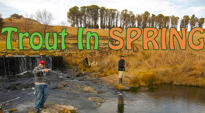 Catching Trout In Spring