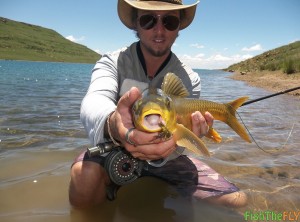 Smallmouth Yellowfish Caught On Dry Fly