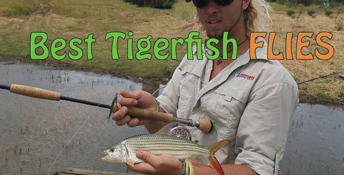 Best Flies For Tigerfish