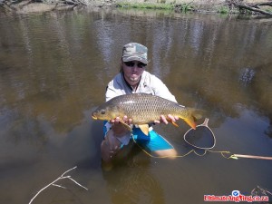 Common Carp Caught On Fly
