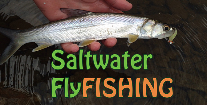 Saltwater Fly Fishing 101