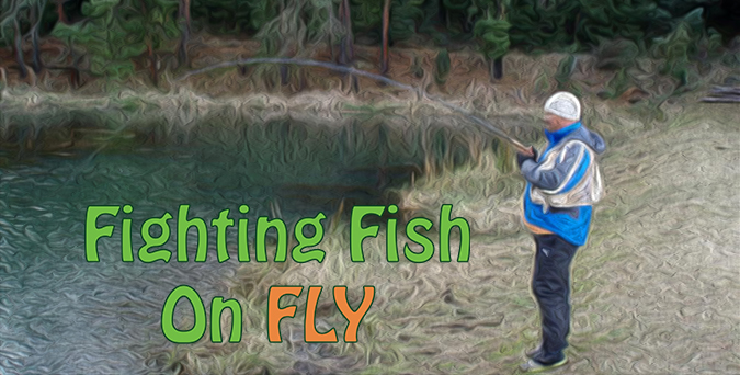 Fighting Fish On Fly