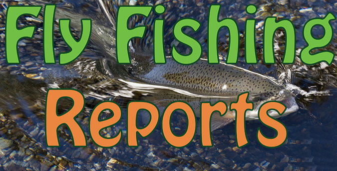 Fly Fishing Reports From South Africa