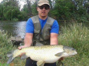 Fly Fishing For Grass Carp