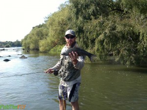 Fly Fishing For Orange River Mudfish