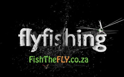 39 Must Catch Fish On Fly In The World | Fly Fishing Infographic