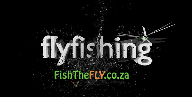 Fly fishing infographics