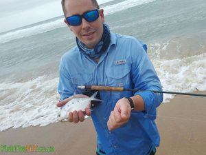 Largespot Pompano or Wave Garrick caught on fly