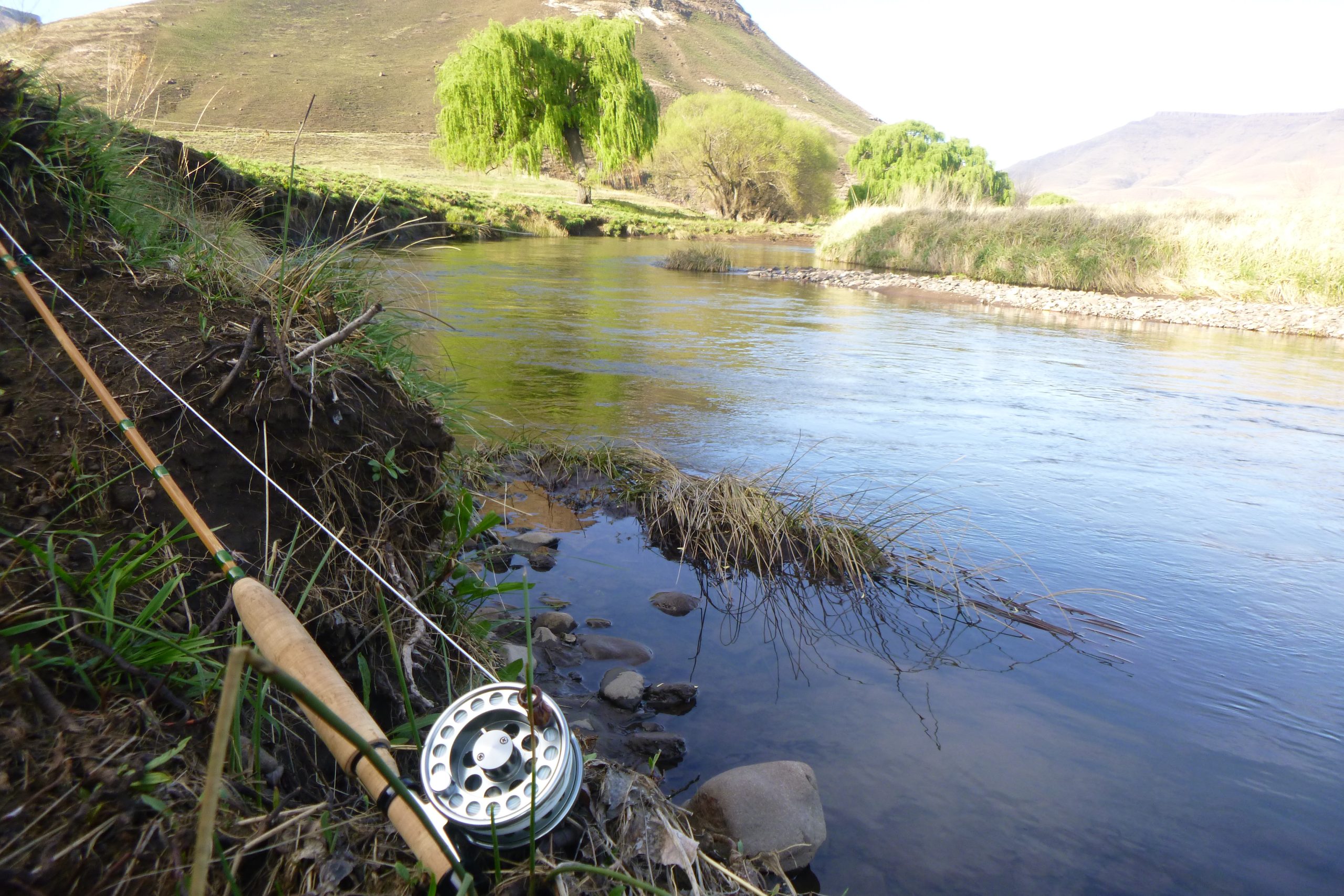 fly fishing cape streams Archives
